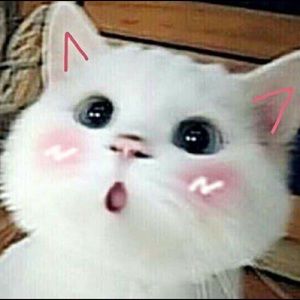 Meet your Posher, Vy